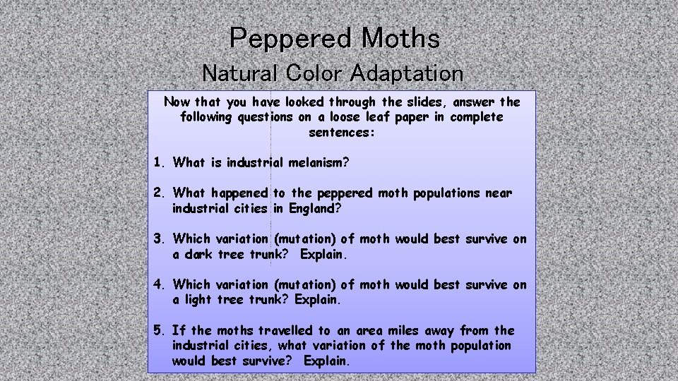Peppered Moths Natural Color Adaptation Now that you have looked through the slides, answer Peppered Moths Natural Color Adaptation Now that you have looked through the slides, answer