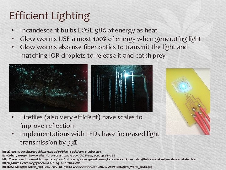 Efficient Lighting • Incandescent bulbs LOSE 98% of energy as heat • Glow worms Efficient Lighting • Incandescent bulbs LOSE 98% of energy as heat • Glow worms
