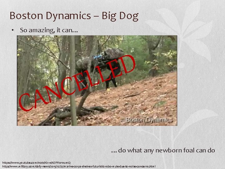 Boston Dynamics – Big Dog • So amazing, it can… D E L L Boston Dynamics – Big Dog • So amazing, it can… D E L L