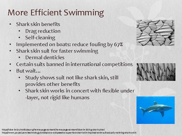More Efficient Swimming • Shark skin benefits • Drag reduction • Self-cleaning • Implemented More Efficient Swimming • Shark skin benefits • Drag reduction • Self-cleaning • Implemented