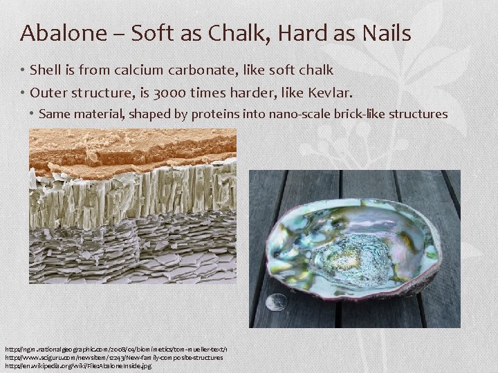 Abalone – Soft as Chalk, Hard as Nails • Shell is from calcium carbonate, Abalone – Soft as Chalk, Hard as Nails • Shell is from calcium carbonate,