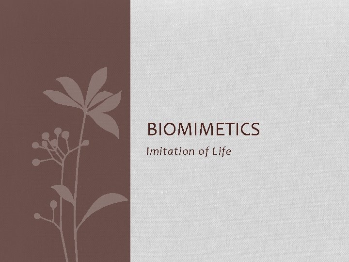 BIOMIMETICS Imitation of Life BIOMIMETICS Imitation of Life