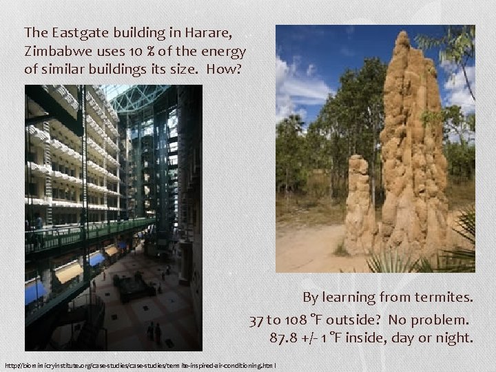 The Eastgate building in Harare, Zimbabwe uses 10 % of the energy of similar The Eastgate building in Harare, Zimbabwe uses 10 % of the energy of similar