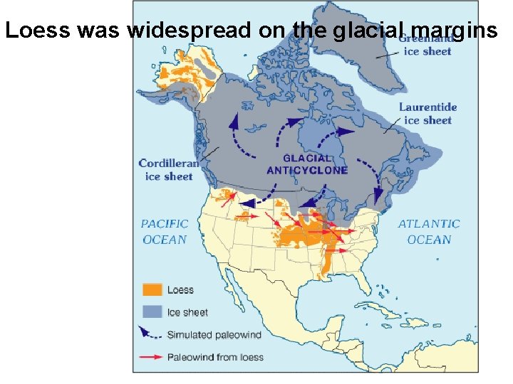 Loess was widespread on the glacial margins 