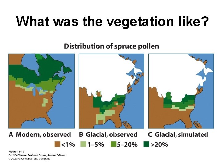 What was the vegetation like? 