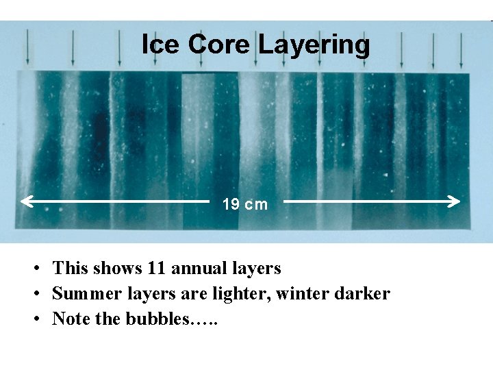 Ice Core Layering 19 cm • This shows 11 annual layers • Summer layers