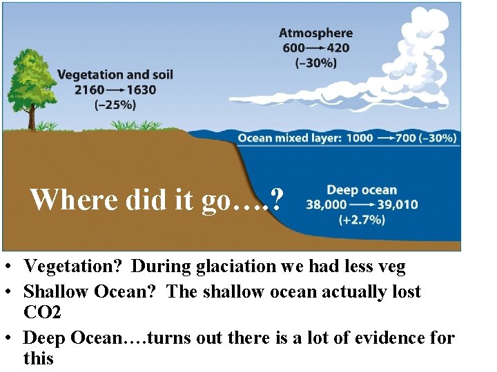 Where did it go…. ? • Vegetation? During glaciation we had less veg •