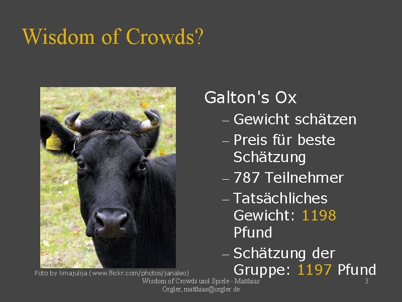 Wisdom of Crowds? Galton's Ox Foto by limajulija (www. flickr. com/photos/janaleo) – Gewicht schätzen