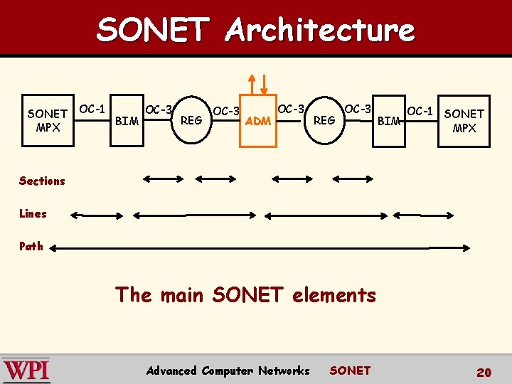 SONET Architecture OC-3 OC-1 SONET OC-3 SONET OC-1 REG BIM ADM BIM MPX Sections