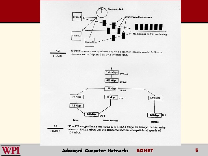 Advanced Computer Networks SONET 5 