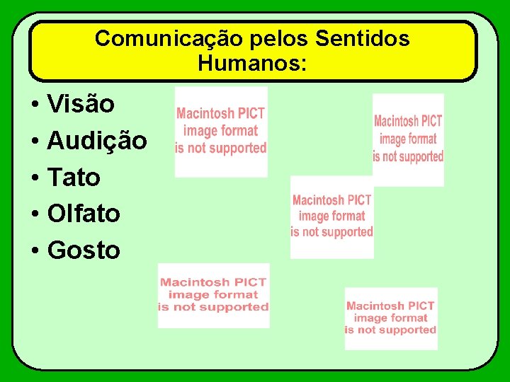 Comunicação pelos Sentidos Humanos: • Visão • Audição • Tato • Olfato • Gosto