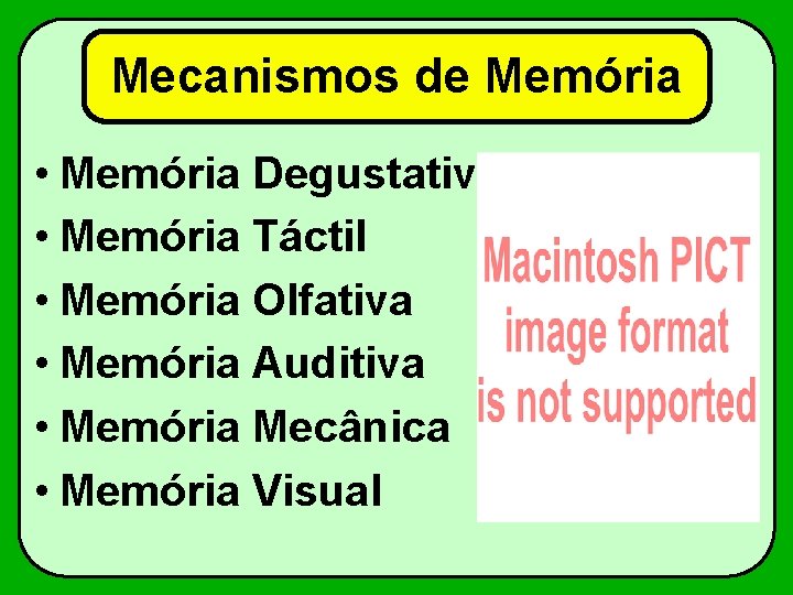 Mecanismos de Memória • Memória Degustativa • Memória Táctil • Memória Olfativa • Memória