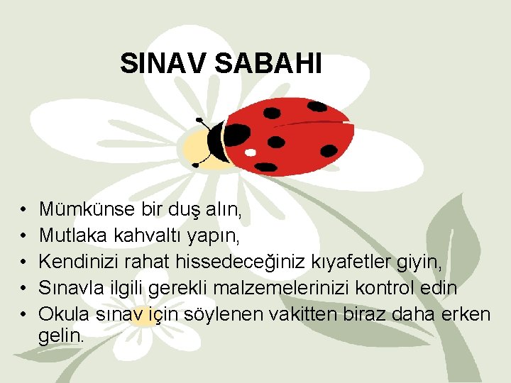 SINAV SABAHI • • • Mümkünse bir duş alın, Mutlaka kahvaltı yapın, Kendinizi rahat