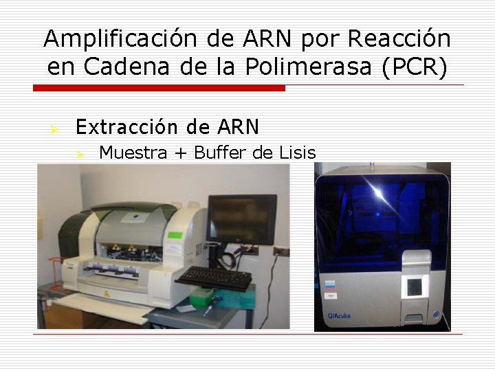 Amplificación de ARN por Reacción en Cadena de la Polimerasa (PCR) Ø Extracción de