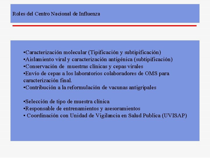 Roles del Centro Nacional de Influenza • Caracterización molecular (Tipificación y subtipificación) • Aislamiento