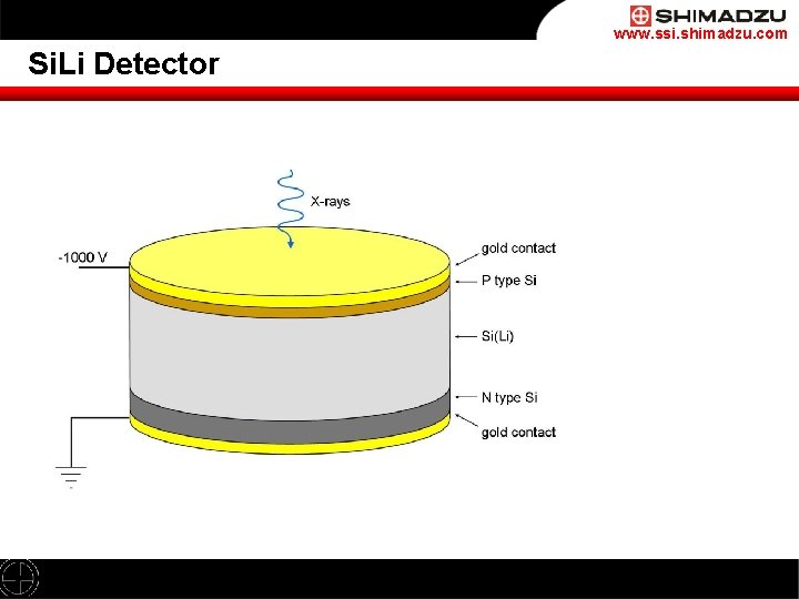 www. ssi. shimadzu. com Si. Li Detector 