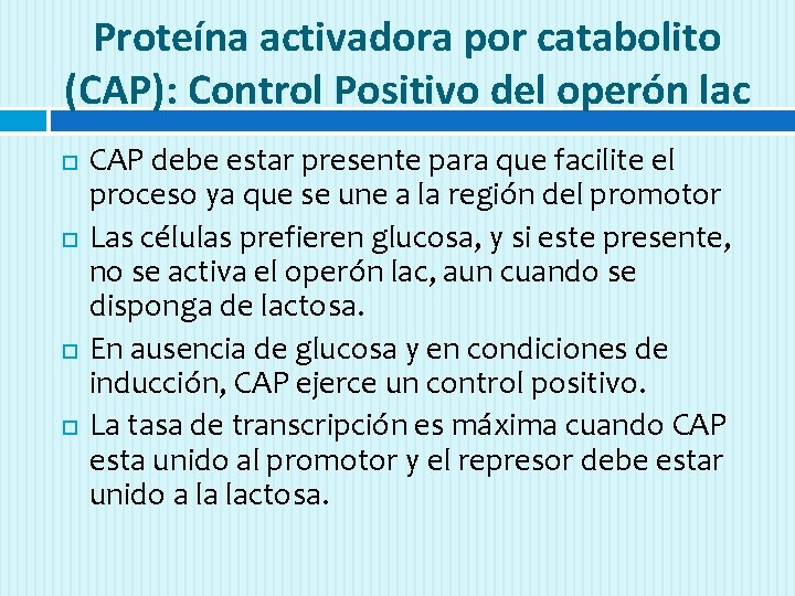 Proteína activadora por catabolito (CAP): Control Positivo del operón lac CAP debe estar presente