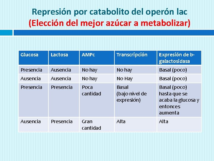 Represión por catabolito del operón lac (Elección del mejor azúcar a metabolizar) Glucosa Lactosa