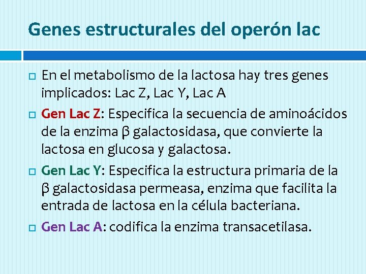 Genes estructurales del operón lac En el metabolismo de la lactosa hay tres genes