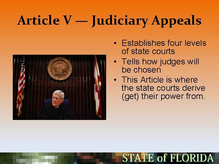Article V — Judiciary Appeals • Establishes four levels of state courts • Tells