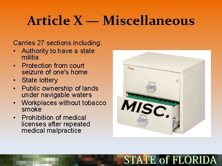 Article X — Miscellaneous Carries 27 sections including: • Authority to have a state