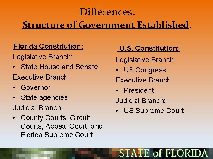Differences: Structure of Government Established. Florida Constitution: Legislative Branch: • State House and Senate