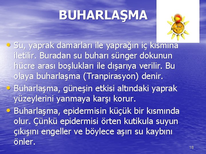 BUHARLAŞMA • Su, yaprak damarları ile yaprağın iç kısmına iletilir. Buradan su buharı sünger