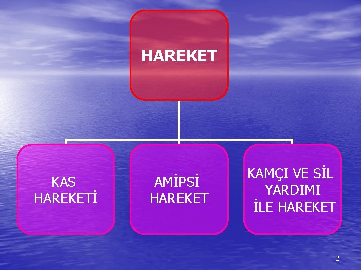 HAREKET KAS HAREKETİ AMİPSİ HAREKET KAMÇI VE SİL YARDIMI İLE HAREKET 2 