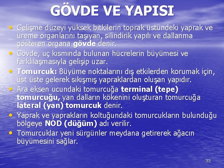 GÖVDE VE YAPISI • Gelişme düzeyi yüksek bitkilerin toprak üstündeki yaprak ve • •