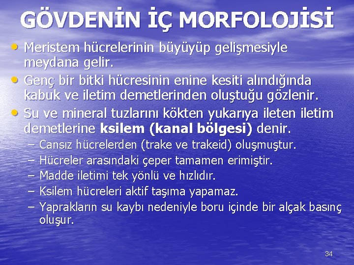 GÖVDENİN İÇ MORFOLOJİSİ • Meristem hücrelerinin büyüyüp gelişmesiyle • • meydana gelir. Genç bir