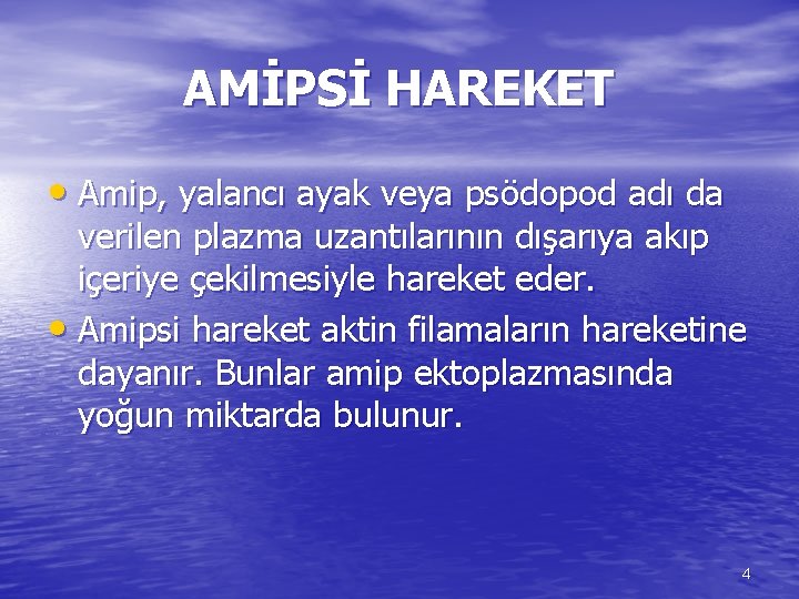 AMİPSİ HAREKET • Amip, yalancı ayak veya psödopod adı da verilen plazma uzantılarının dışarıya