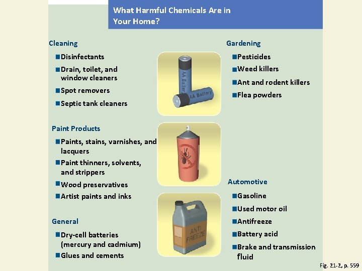 What Harmful Chemicals Are in Your Home? Cleaning Gardening Disinfectants Pesticides Drain, toilet, and