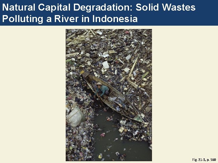 Natural Capital Degradation: Solid Wastes Polluting a River in Indonesia Fig. 21 -3, p.