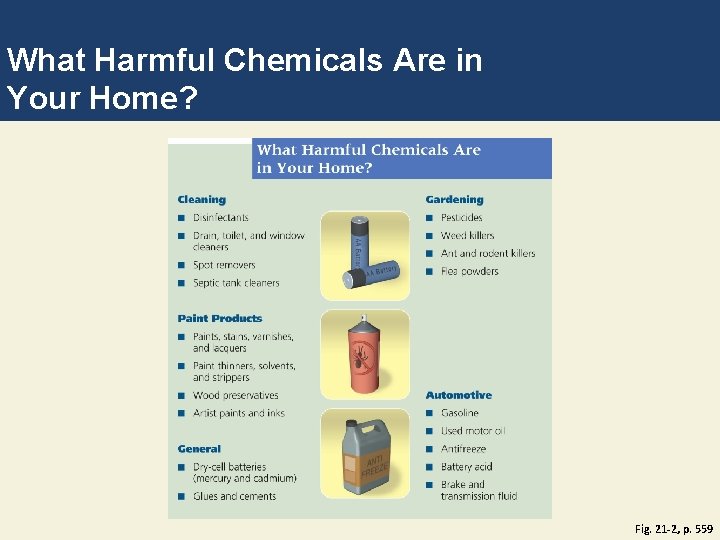 What Harmful Chemicals Are in Your Home? Fig. 21 -2, p. 559 