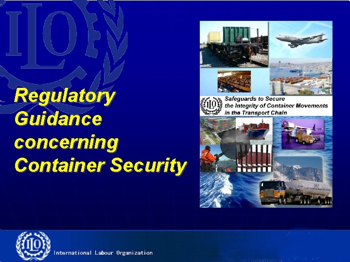 Regulatory Guidance concerning Container Security 
