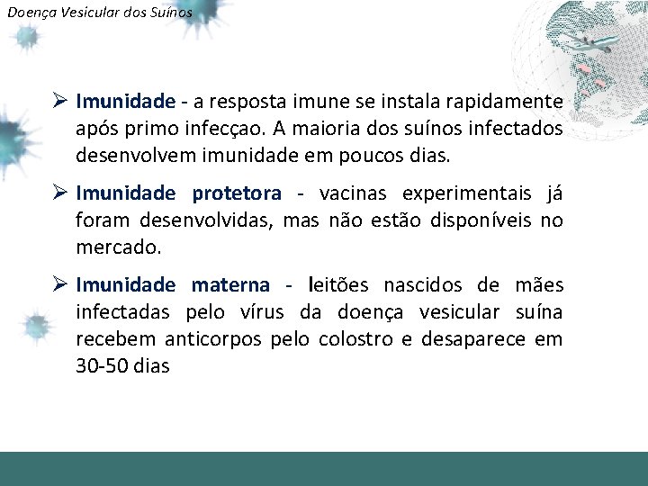 Doença Vesicular dos Suínos Ø Imunidade - a resposta imune se instala rapidamente após