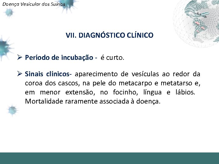 Doença Vesicular dos Suínos VII. DIAGNÓSTICO CLÍNICO Ø Período de incubação - é curto.