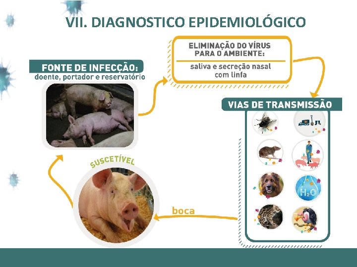 VII. DIAGNOSTICO EPIDEMIOLÓGICO 