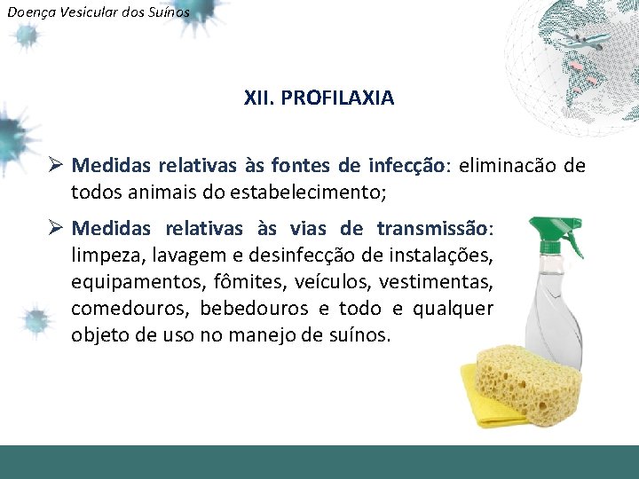 Doença Vesicular dos Suínos XII. PROFILAXIA Ø Medidas relativas às fontes de infecção: eliminação