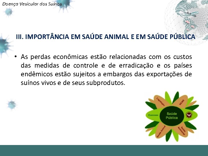 Doença Vesicular dos Suínos III. IMPORT NCIA EM SAÚDE ANIMAL E EM SAÚDE PÚBLICA