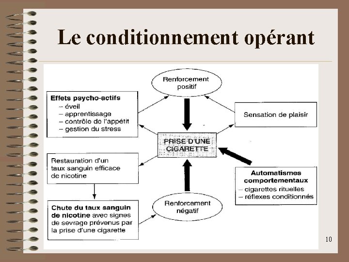 Le conditionnement opérant JMG 2008 10 Le conditionnement opérant JMG 2008 10