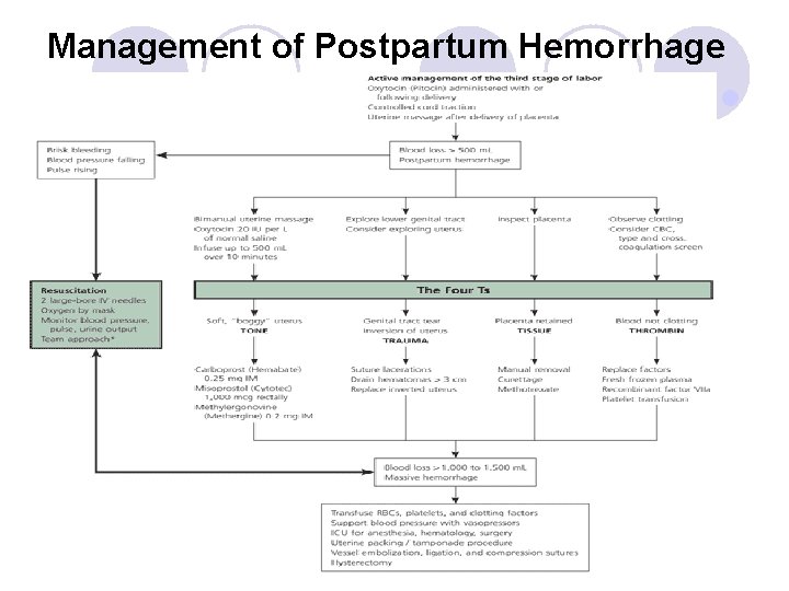 Management of Postpartum Hemorrhage l 