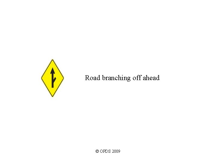 Road branching off ahead © OPDS 2009 Road branching off ahead © OPDS 2009