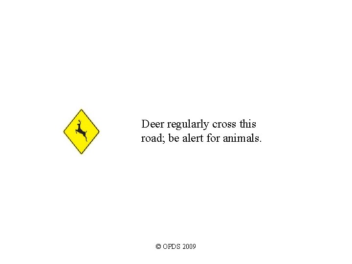 Deer regularly cross this road; be alert for animals. © OPDS 2009 Deer regularly cross this road; be alert for animals. © OPDS 2009