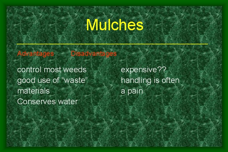 Mulches Advantages Disadvantages control most weeds good use of “waste” materials Conserves water expensive? Mulches Advantages Disadvantages control most weeds good use of “waste” materials Conserves water expensive?