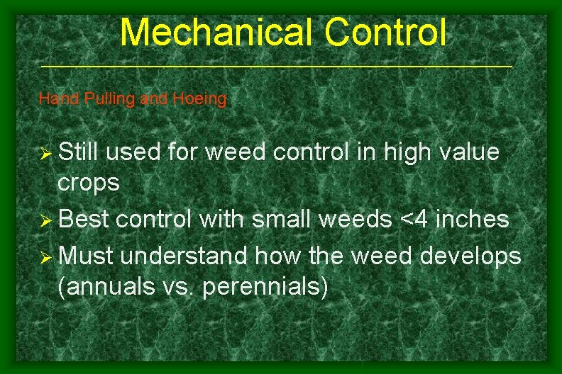 Mechanical Control Hand Pulling and Hoeing Ø Still used for weed control in high Mechanical Control Hand Pulling and Hoeing Ø Still used for weed control in high