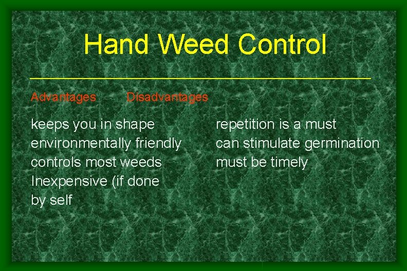 Hand Weed Control Advantages Disadvantages keeps you in shape environmentally friendly controls most weeds Hand Weed Control Advantages Disadvantages keeps you in shape environmentally friendly controls most weeds