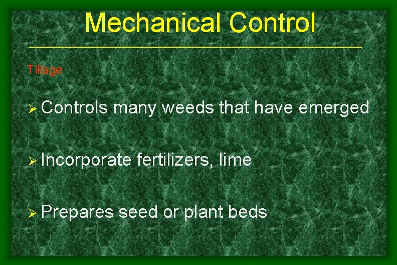 Mechanical Control Tillage Ø Controls many weeds that have emerged Ø Incorporate Ø Prepares Mechanical Control Tillage Ø Controls many weeds that have emerged Ø Incorporate Ø Prepares