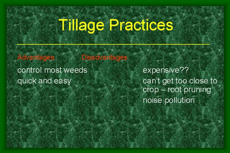 Tillage Practices Advantages Disadvantages control most weeds quick and easy expensive? ? can’t get Tillage Practices Advantages Disadvantages control most weeds quick and easy expensive? ? can’t get