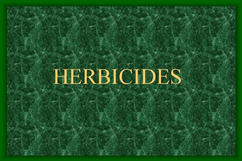 HERBICIDES HERBICIDES